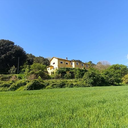 Mas Pitre Bed and Breakfast Besalú Eksteriør billede